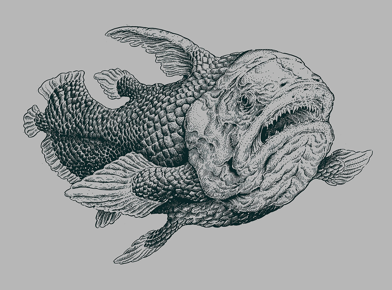 illustration coelacanthe poisson préhistorique